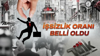 İstihdamda yükseliş sürüyor: Mayıs ayı işgücü verileri