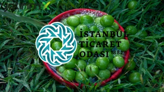 Mayıs'ta zam şampiyonu erik oldu: Fiyatı en çok düşen ürünler