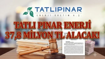 TATEN kazandı: TEİAŞ davasında 37,8 milyon TL'lik iade kesinleşti