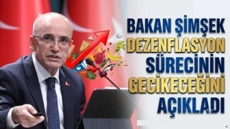 Şimşek'ten enflasyon açıklaması: Süreç gecikmeyle sürecek