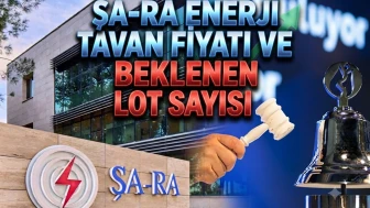 SARAE halka arzında tavan serisi sürüyor: Tavanda kaç lot var?