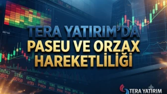Tera Yatırım hangi hisseleri sattı? PASEU ve ORZAX listede