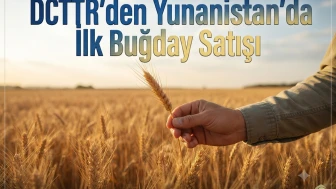 DCTTR'den yeni sezon: Yunanistan'da buğday ticareti