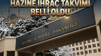 Hazine'den haftalık borçlanma hamlesi: 3 doğrudan satış, 2 ihale