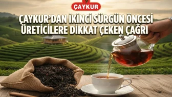 ÇAYKUR'dan üreticiye 2. sürgün uyarısı: Önemli duyuru