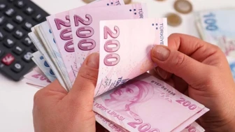 Avrupa'da Alım Gücü Sıralaması Değişti: Almanya Zirvede, Türkiye Geride!
