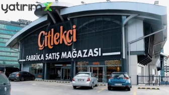 Çitlekçi halka arz kişi başına düşen olası lot miktarı: Katılım endeksine uygun mu, kaç lot verir?