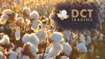 DCTTR'den 951 bin dolar değerinde yeni sezon pamuk satışı
