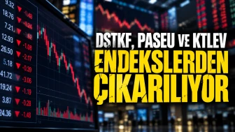 DSTKF, PASEU ve KTLEV Endekslerden Çıkarılıyor! Fonlara Etkisi Ne Olur