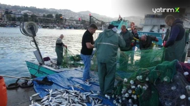 Karadeniz'de Balık Bolluğu Yaşanıyor: Son 30 Yılın En Verimli Av Sezonu Kırıldı!