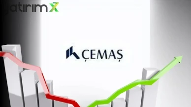 Cemaş (CEMAS) Hisse Anlık Kademe Dağılımı – (24.04.2025)