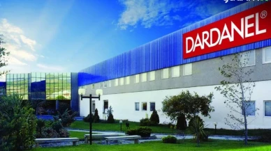Dardanel Önentaş Gıda Sanayi A.Ş. (DARDL) Hisse Anlık Kademe Dağılımı – (10.04.2025)
