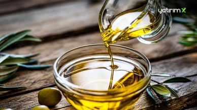 28 Ülkenin Yarıştığı Zeytinyağı Savaşında Zirve Türkiye'nin!