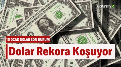 Dolar/TL Bugün Ne Kadar? (15 Ocak 2025))