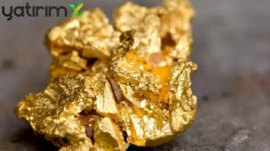 Koç Holding’in Kasasına 18,5 Milyon Dolar Giriş! Altın Ruhsatını CVK Maden'e Devretti