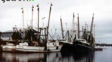 Bakanlık Açıkladı: Bu İllerdeki Balıkçılar Cüzdanları Dolduracak