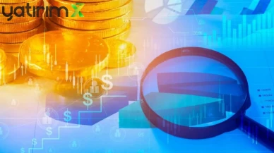 100 Lot TERA Hissesi Olanın Kaç Lotu Oldu? Yüzde 344 Bedelsiz Artırımı Gerçekleşti