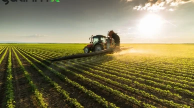 Çiftçinin Maliyeti Durmuyor: Tarım-ÜFE, Ekim 2025'te Yüzde 45,40 Arttı