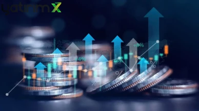 REEDR'da Büyük Hareketlilik: 56 Milyon Lot Satış İçin Hazırlanıyor