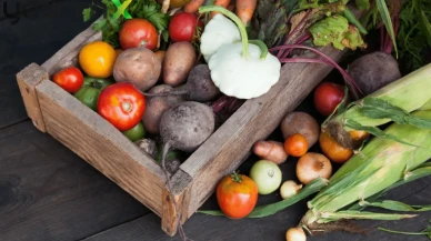 Küresel Gıda Fiyatları Düşerken Türkiye Zirvede: Fark Yüzde 583'e Ulaştı