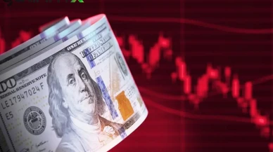 Dolar Sahipleri Dikkat! Morgan Stanley'den 2026 Dip Tahmini