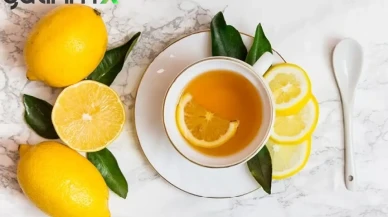 Bir Dilim Limonun Bedeli Ağır Oldu: O Kafeye Bakanlık Cezayı Kesti