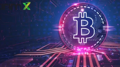 Coino Kripto Borsasına Kayyum Atandı, 17 Gözaltı!