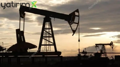 Rusya'dan Açıklama: Hindistan, Rus Petrolü Alımına Devam Ediyor