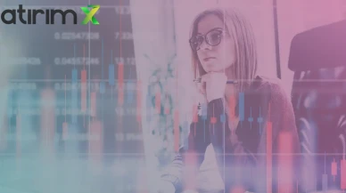 TEHOL Halka Arzında Yüzde 5 Barajını Aşan 2 İsim KAP'a Bildirildi