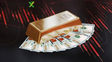 Tera Portföy Birinci Serbest Fon (TLY): Uçuk Getiriler Gerçek mi, Yoksa Akışın Oyunu mu?