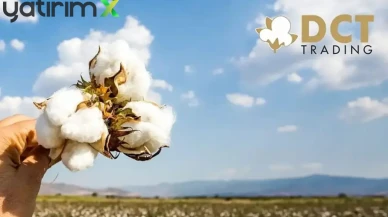 DCTTR Pamukta Güçleniyor: 306 Milyon TL'lik Alım, 153 Milyon TL'lik Satış