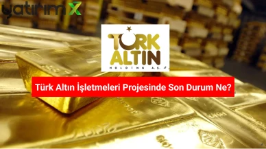 ÇED Onayı İptal Edilebilir: Türk Altın İşletmeleri (TRALT) Projesine Dava Açıldı