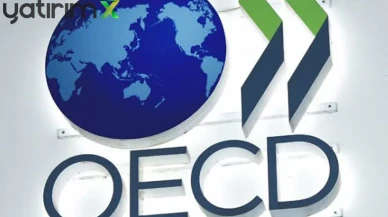 OECD'e göre Türkiye Ekonomisi, 21 Çeyrek Büyüme Serisiyle G20'de İlk 5'te