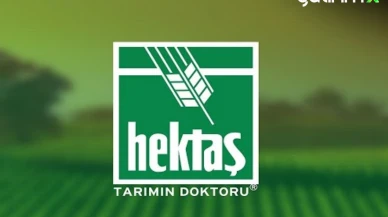 Hektaş (HEKTS) Hedef Fiyat 2025