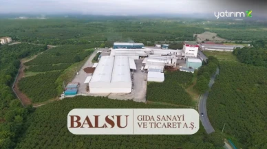 Balsu Gıda’dan (BALSU) Geri Alım Kararı