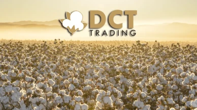 Pamukta Rüzgârı Arkasına Aldı, Kârı Katladı: DCT Trading’den Rekor Gibi İlk Çeyrek!