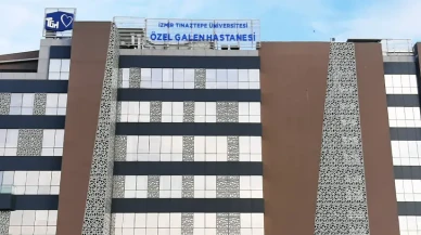 TNZTP’den 2025 İlk Çeyrek Sonuçları: Gelir Arttı, Kârlılık Düştü, Faaliyet Nakitleri Negatife Döndü