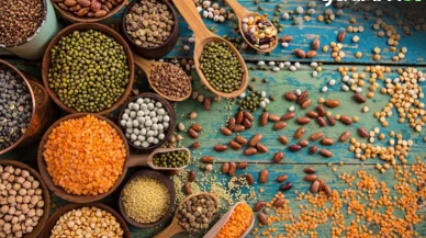 TMO'nun 2025 Yılı Hububat Alım Fiyatları Belli Oldu