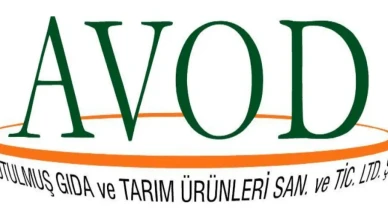 AVOD Hissesinde Sürpriz Gelişme: Mahkeme Tedbiren Yönetim Kayyımı Atadı!