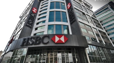 HSBC ekibine göre, SASA, CCOLA, PGSUS ve SISE hisseleri çıkarılma riskiyle karşı karşıya!