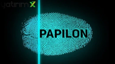 Tahtalardan Takeover’a: Ekrem Korkmaz’ın Hızlı Yükselişi