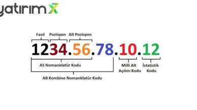 GTİP Doğrulayan Muhasebe Programı İhracat Faturalarında Hata Payını Bitiriyor