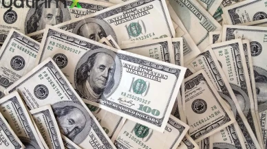 TCMB Rezervleri Tırmanışa Geçti! Geçen Haftanın Kaybı Telafi Edildi