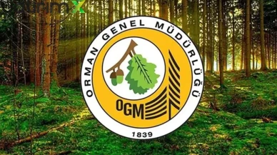 OGM'nin 262 İşçi Alımı İlanındaki Kritik Detaylar Açıklandı! 29 Eylül Son Gün