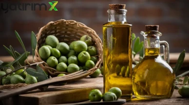 Türkiye Zeytinyağı Üretiminde Dünya İkincisi Oldu: İtalya'yı Geride Bıraktı