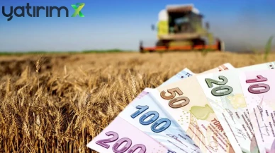 Kırsal Kalkınma Destekleri 2026: Şanlıurfa Hibe Zirvesinde!