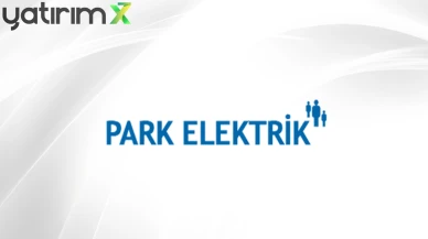Park Elektrik’te Kayyım Kararı Değişti: TMSF Denetim Kayyımı Olarak Atandı