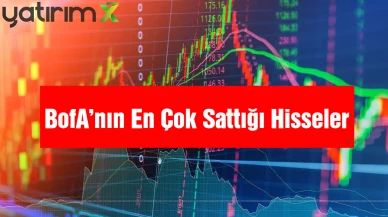 Borsa Rekor Kırarken Bank of America Hangi Hisseleri Sattı? İşte Haftalık Veriler