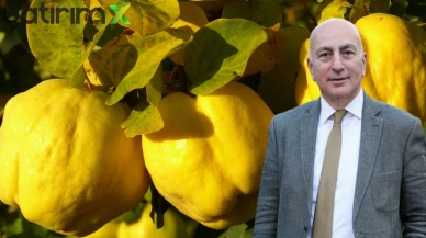 Deyimler Zamlandı: Mahfi Eğilmez’e göre 'Ayvayı Yemek' Artık Lüks