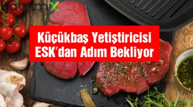 Et ve Süt Kurumu Piyasayı Dengeleyecek mi? TÜRKYED’ten Açıklama